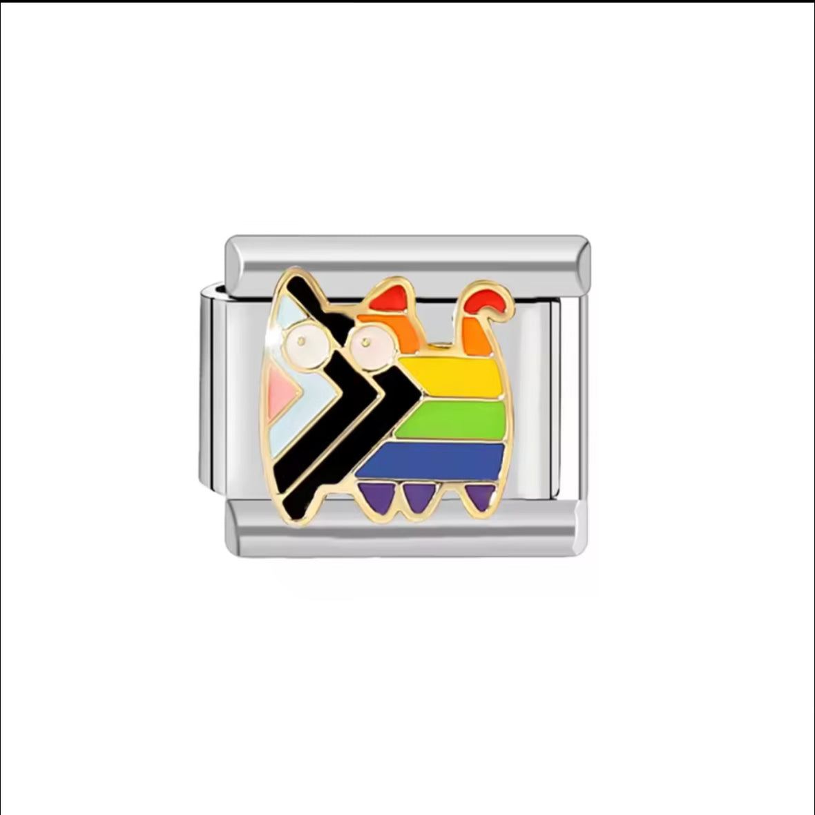 Pride Month Cat Silver Charm